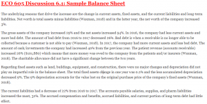 ECO 605 Discussion 6.1: Sample Balance Sheet