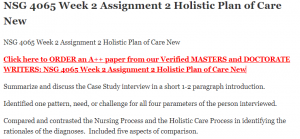 NSG 4065 Week 2 Assignment 2 Holistic Plan of Care New