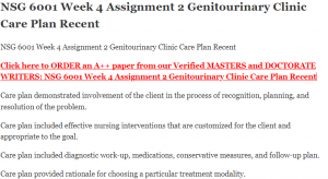 NSG 6001 Week 4 Assignment 2 Genitourinary Clinic Care Plan Recent