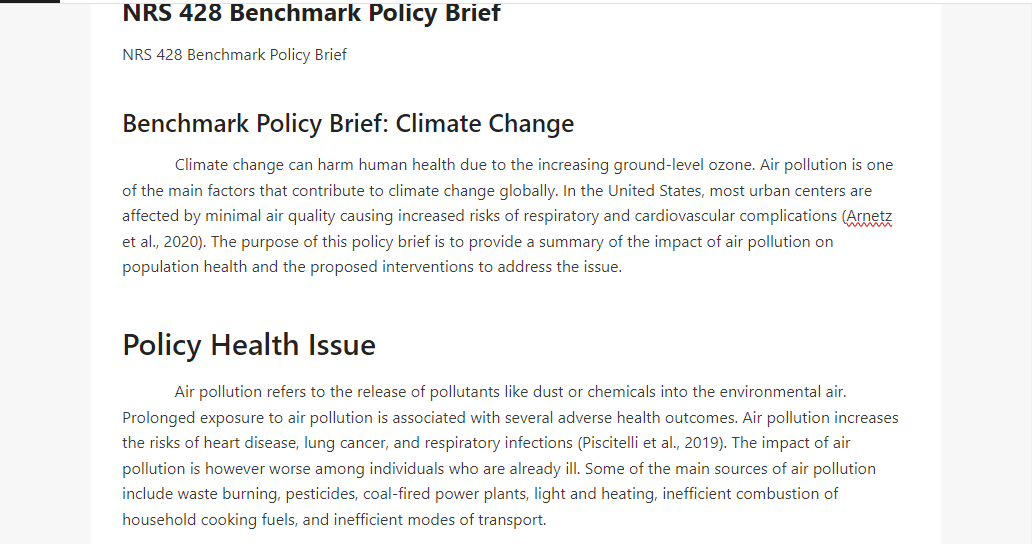 NRS 428 Benchmark Policy Brief