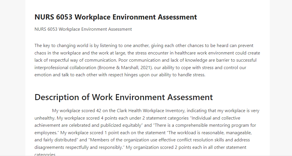 NURS 6053 Workplace Environment Assessment