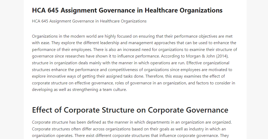 HCA 645 Assignment Governance in Healthcare Organizations