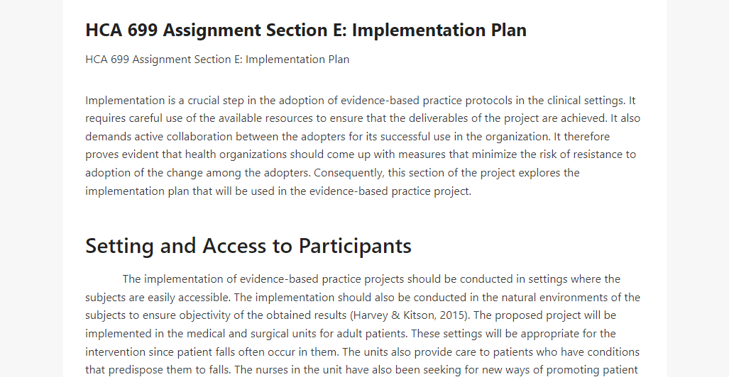 HCA 699 Assignment Section E Implementation Plan