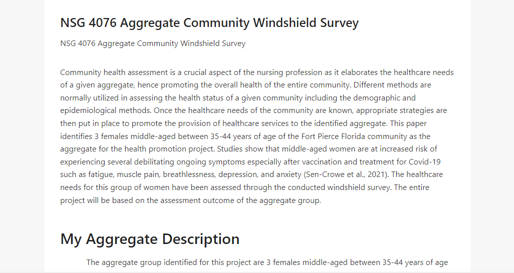 NSG 4076 Aggregate Community Windshield Survey