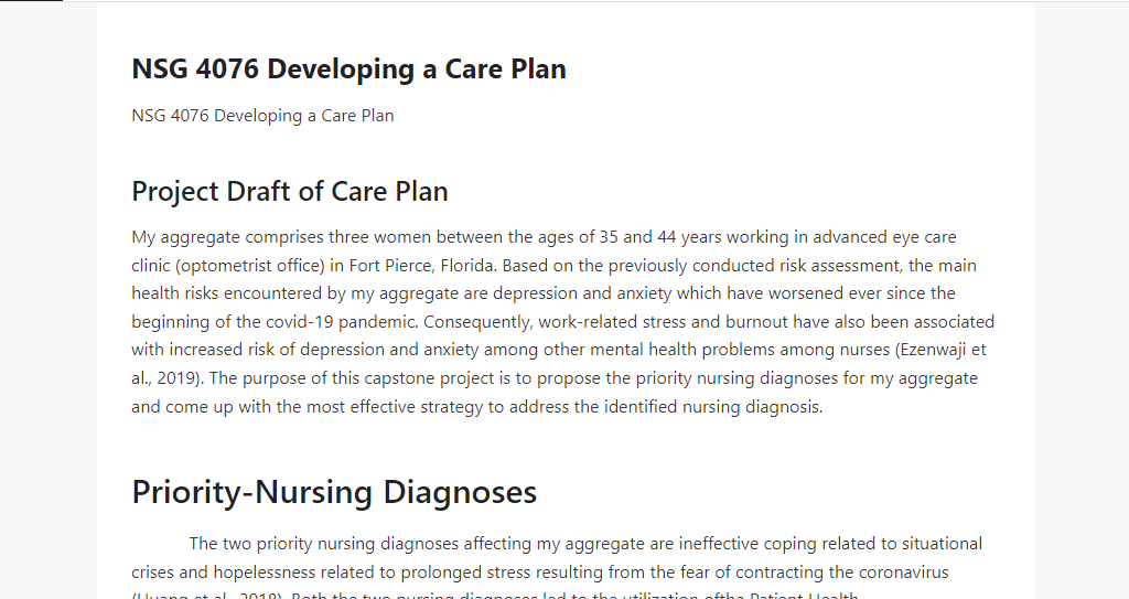 NSG 4076 Developing a Care Plan